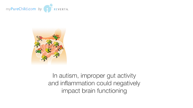 video showing how gut functioning influences the brain